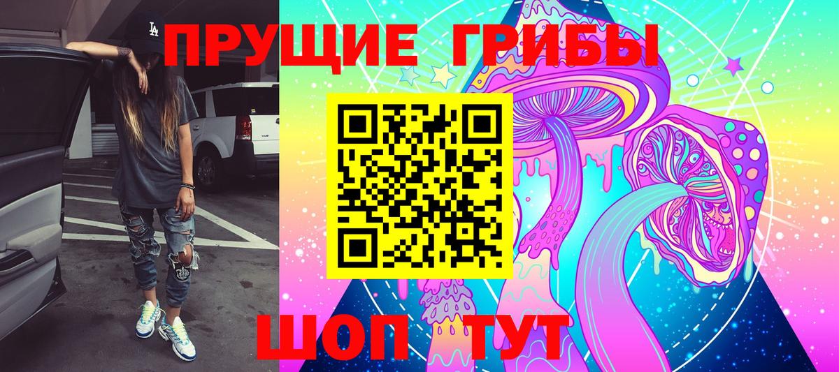 Галлюциногенные грибы MAGIC MUSHROOMS  Вход с VPN  Гуково 